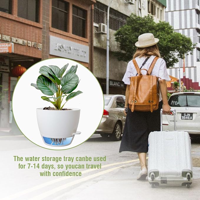8 inch Self Watering Pots, Plant Pots - Image 6