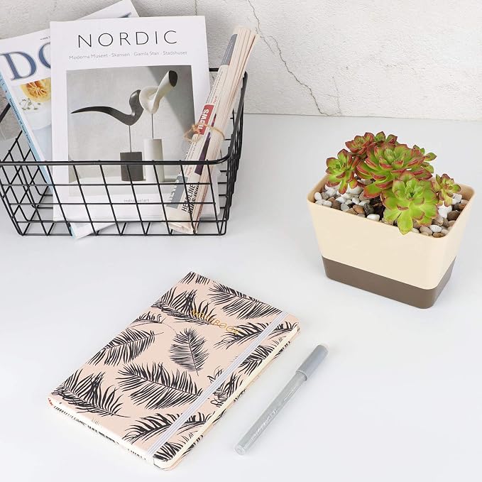 SUREAM Succulent Pots with Tray, 3 Pack 6 x3.8 Inch Herb Window Boxes Office - Image 8