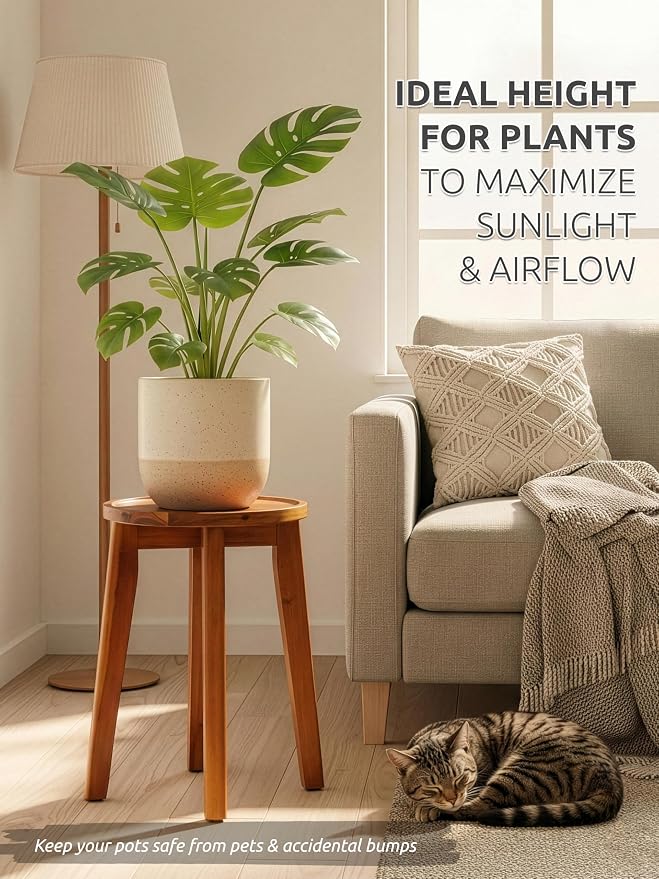 Demigo 15-Inch Tall Plant Stand - Image 5