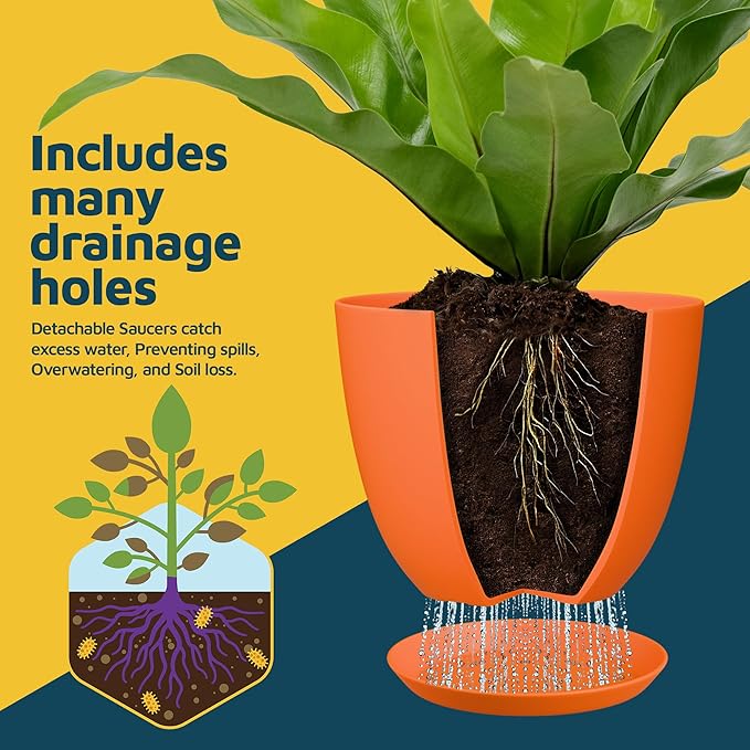 Yellow Plant Pots with Drainage Holes & Saucers 15 Pack, Indoor & Outdoor - Image 6