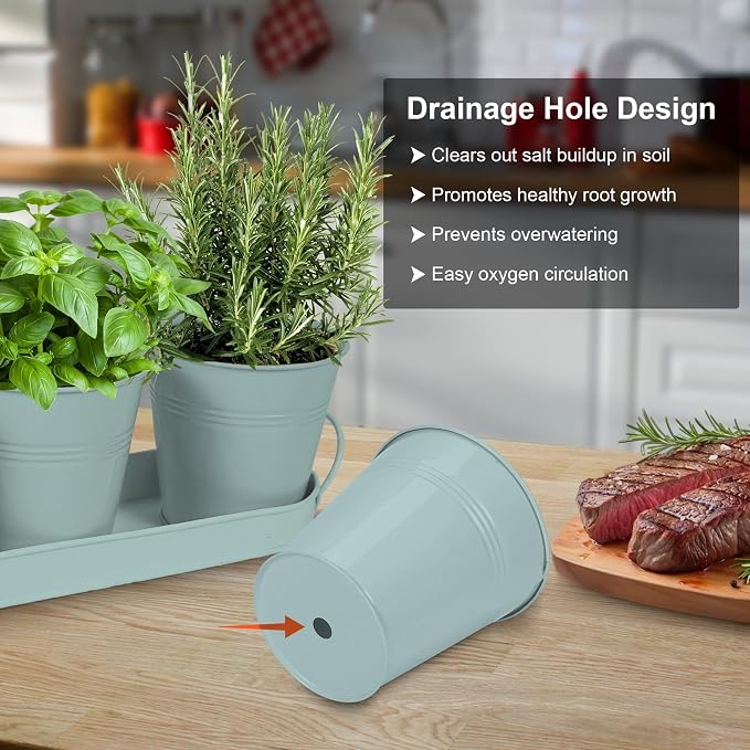 Herb Garden Planter Indoor Kit – 6 Metal Pots - Image 4
