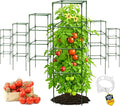 Tomato Cage Square by K-BRANDS