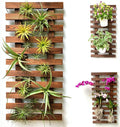 ShopLaLa Wall Planter by ShopLaLa