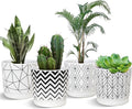 Ton Sin Plant Pots, 5.5 Inch White Pots by TonSin