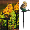 Dazzle Bright 1 Pack Owl Figure Solar LED Lights, Resin Garden Waterproof by DazzleBright
