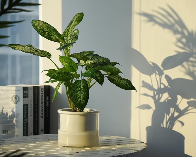 Phoenix Vine 6 Inch Self Watering Planter Pot, Design White Terracotta Pot - Image 7