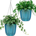 QCQHDU Self Watering Hanging Pots, 2 Pack 5.7 Inch Hanging Planters by QCQHDU