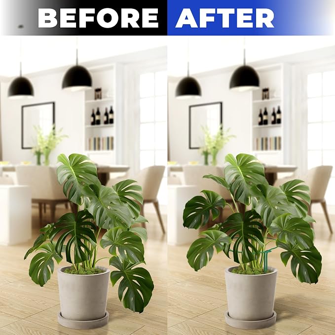 Tall Plant Support Stakes for Indoor and Outdoor - Image 5