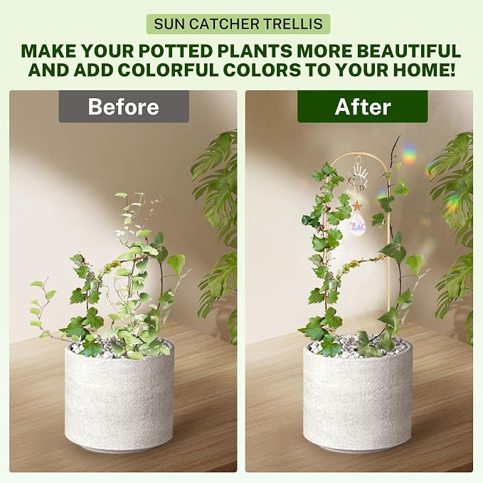 Small Trellis for Potted Plants Indoor - Image 6