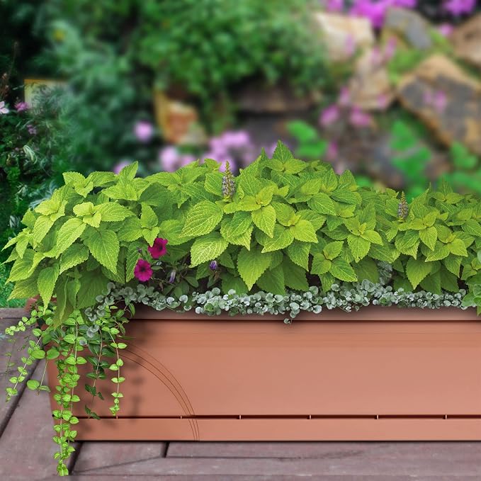 Southern Patio 36 in Medallion Hanging Windowsill Garden Box Planter, Terracotta - Image 4