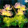 Solar Garden Lights, Solar Flowers Lights by DooYard