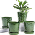 BUYMAX Plant Pots Indoor –5 inch Ceramic Flower Pot by BUYMAX
