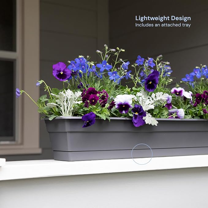 Bloem Dura Cotta Window Box Planter: 24" - Image 2