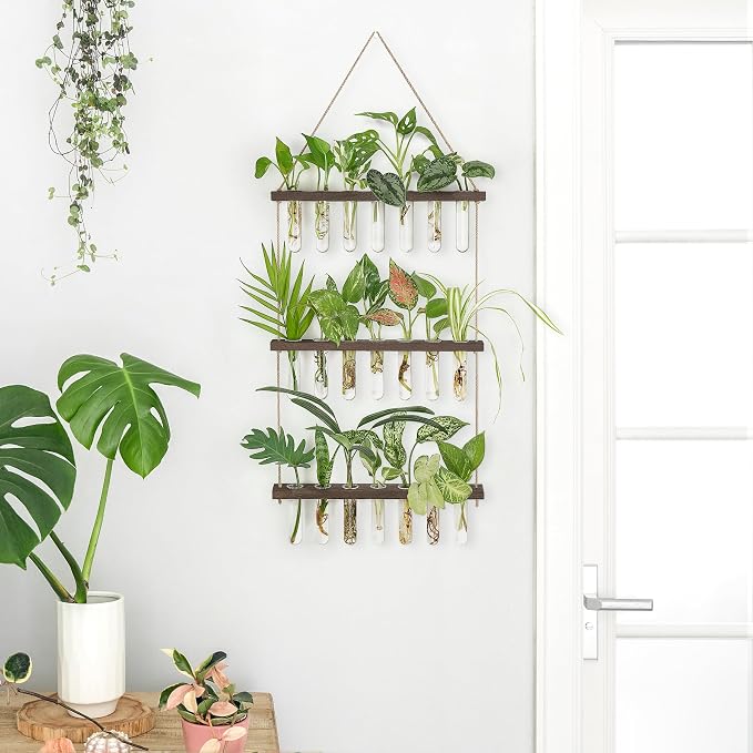 Mkono Plant Propagation Tubes, 3 Tiered Wall Hanging Terrarium - Image 3