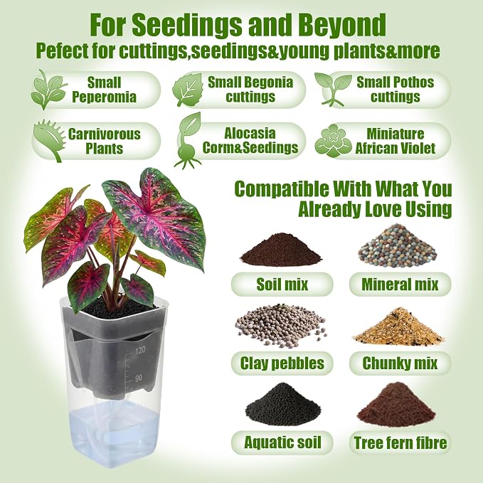 LemonRoad 20 Pack 2" Small Self Watering Pots - Image 5