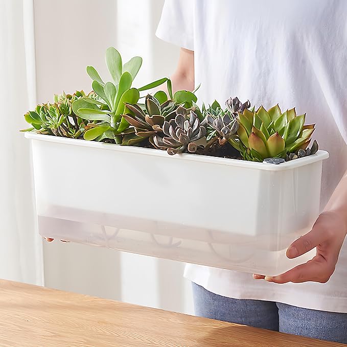 FAMZ Self Watering Pots for Indoor Plants 3 Pack Transparent Rectangular - Image 5