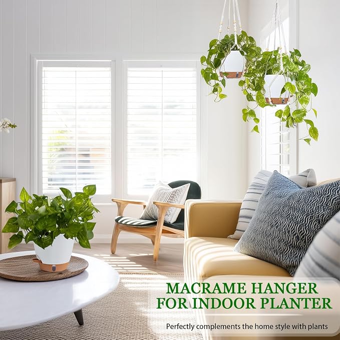 Hanging Planter for Indoor Plants 8 Inch, 2 Pack Hanging Baskets for Plants - Image 7