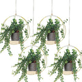 Geelin 4 Pack Plant Hanger by Geelin