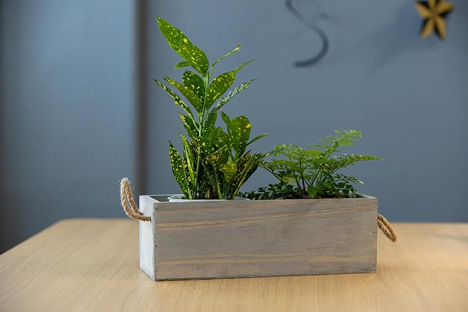 Wooden Planter Box with Handle I Rustic Barn Wood, Plastic Liner l Garden Decor - Image 2