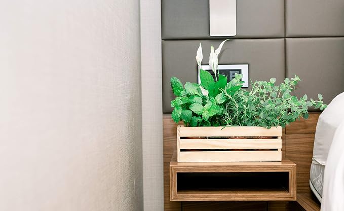 Wood Planter Box with Wine Crate Styled, 12x4 Inch Rectangular, Rose Wood - Image 5