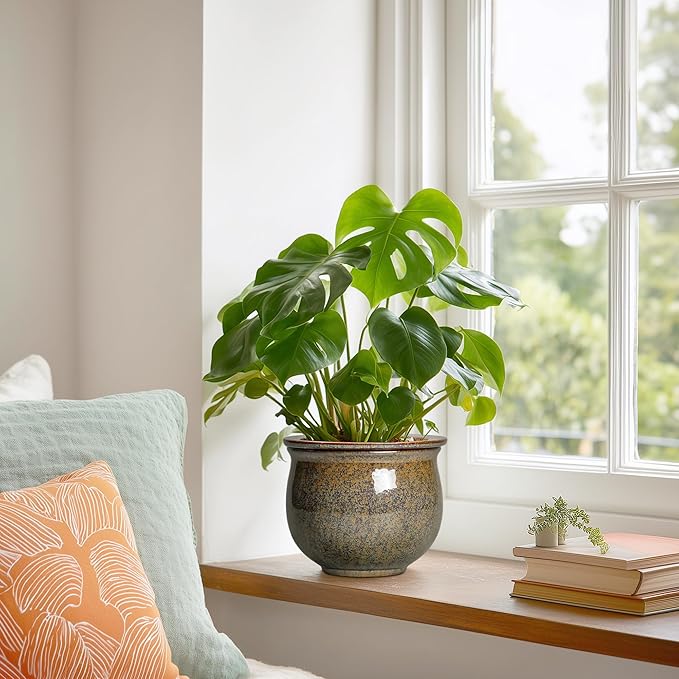 Self Watering Planters for Indoor Plants, 6 Inch Ceramic African Violet Pots - Image 4