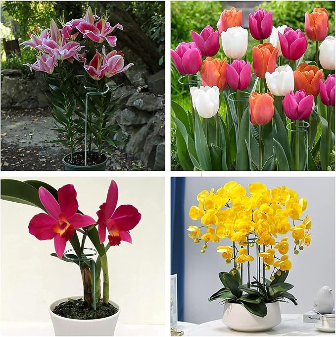 Joyhalo 20 Pack Plant Support Stakes 36 Inches, Plant Stakes, Flower Stakes - Image 8