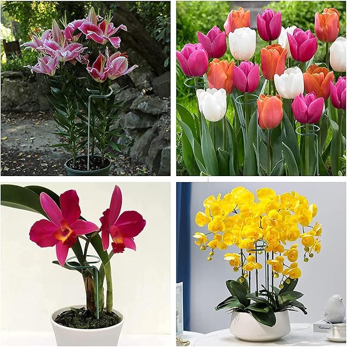 Joyhalo 20 Pack Plant Support Stakes 24 Inch, Plant Stakes, Flower Stakes - Image 7