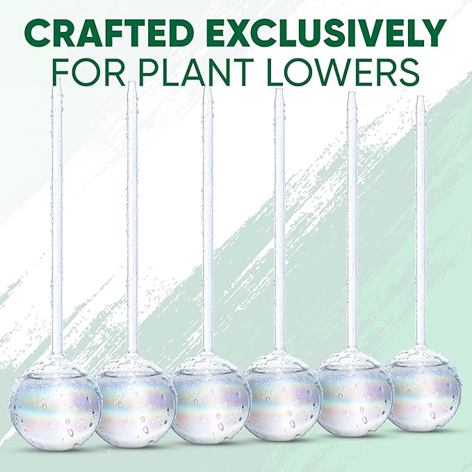 Clear Plant Watering Globes Set of 6 - Image 8