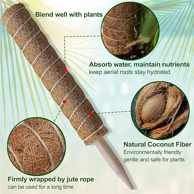 Moss Pole 47.5 Inch - Image 3