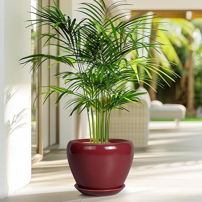 Ceramic Planter - Image 5