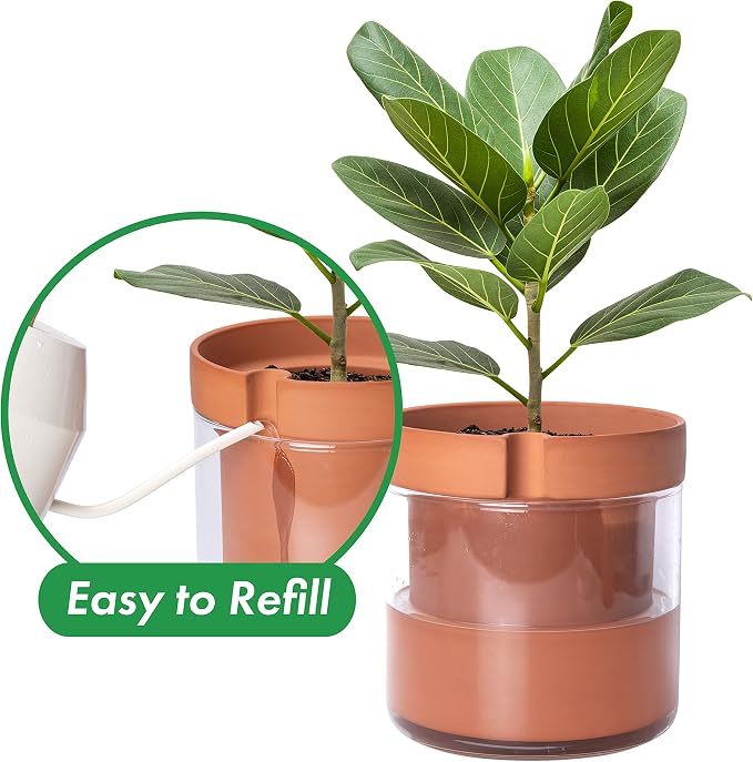 Phoenix Vine 8 Inch Self Watering Planter Pot, Terracotta Clay Pot - Image 4