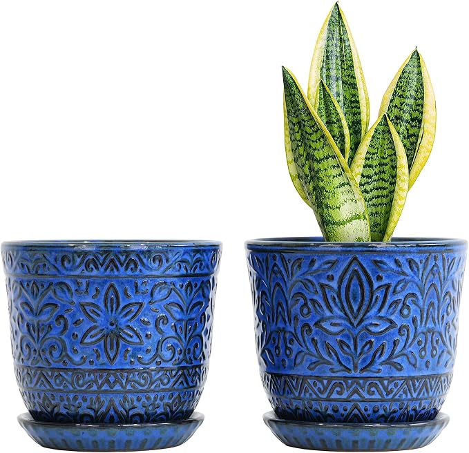 Gepege 6 Inch Ceramic Planter, Birthday by Gepege