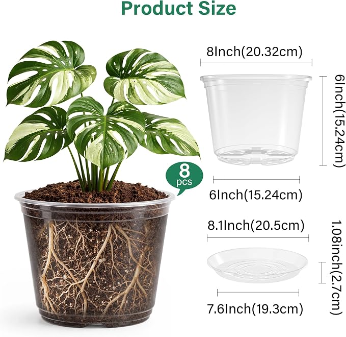 8 Packs 8 Inch Reinforced Large Clear Nursery Pots - Image 2