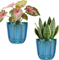 QCQHDU 2 Pack Self Watering Pots, 7.2 Inch Flower Pots by QCQHDU