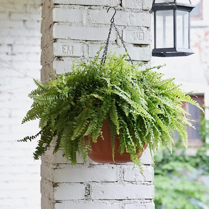 YIKUSH Hanging Planter for Indoor and Outdoor Plants 2 Pack 12 inch Flower Pot - Image 4