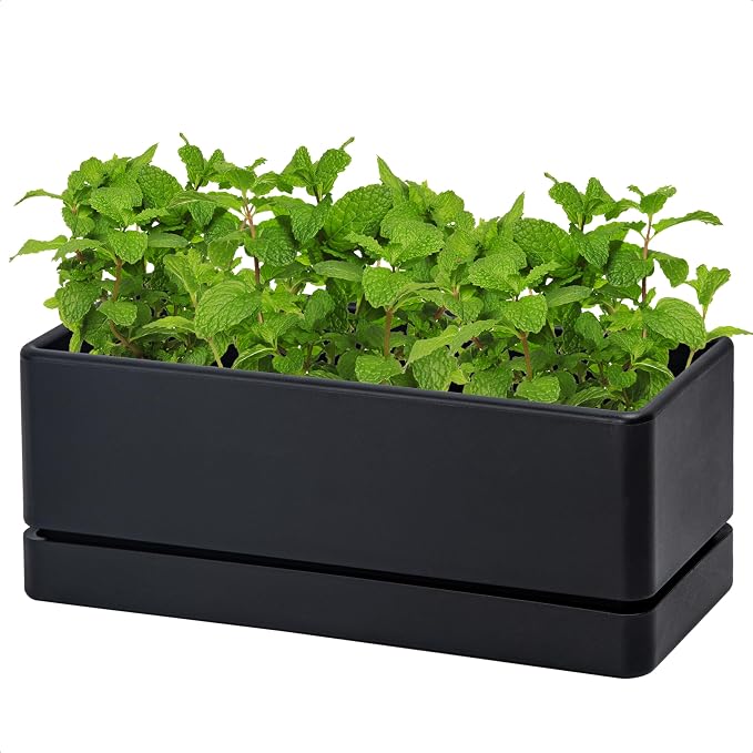 D'vine Dev 12 Inch Window Box Planter, Rectangle Plastic Herb Planter by DvineDevPlanterPotsandStand