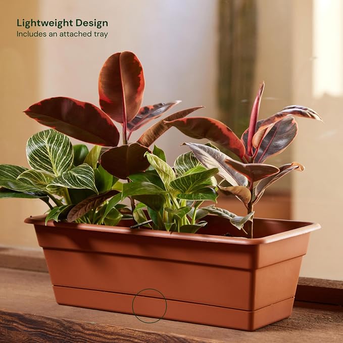 Bloem Dura Cotta 18" Terra Cotta Resin Rectangle Window Box Planter - Image 2