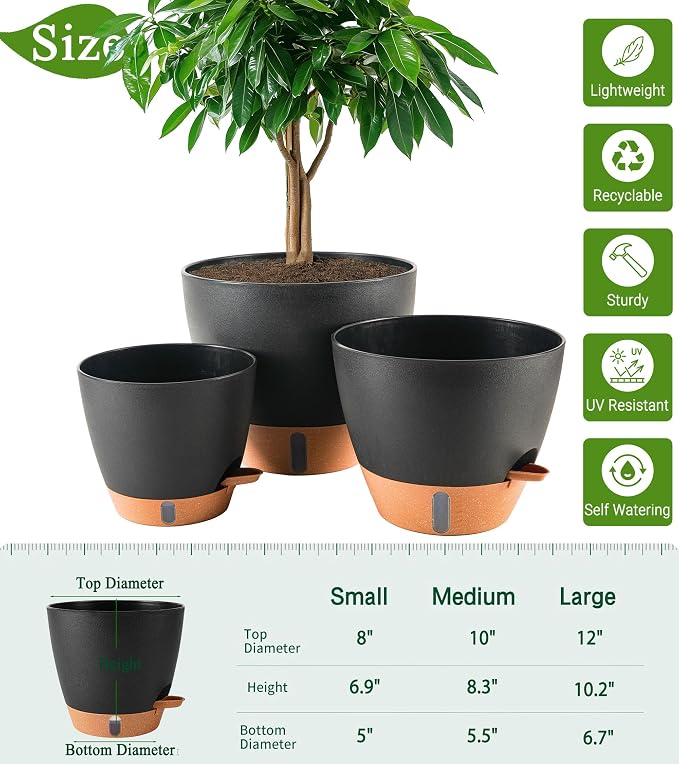 8/10/12 Inch Self Watering Pots - Image 3