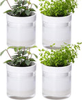 Phoenix Vine 4 Inch Self Watering Planter by Phoenix+Vine