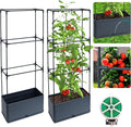 2 Packs Raised Garden Bed Tomato Planter Box by Biotolot