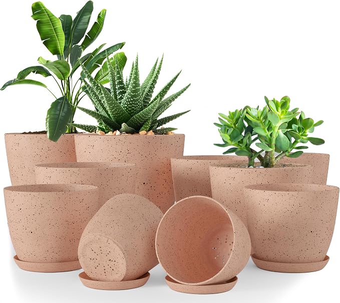 Utopia Home - Spotty Plant Pots Indoor - 7/6.6/6/5.3/4.8 Inches Flower Pots - by UTOPIAHOME