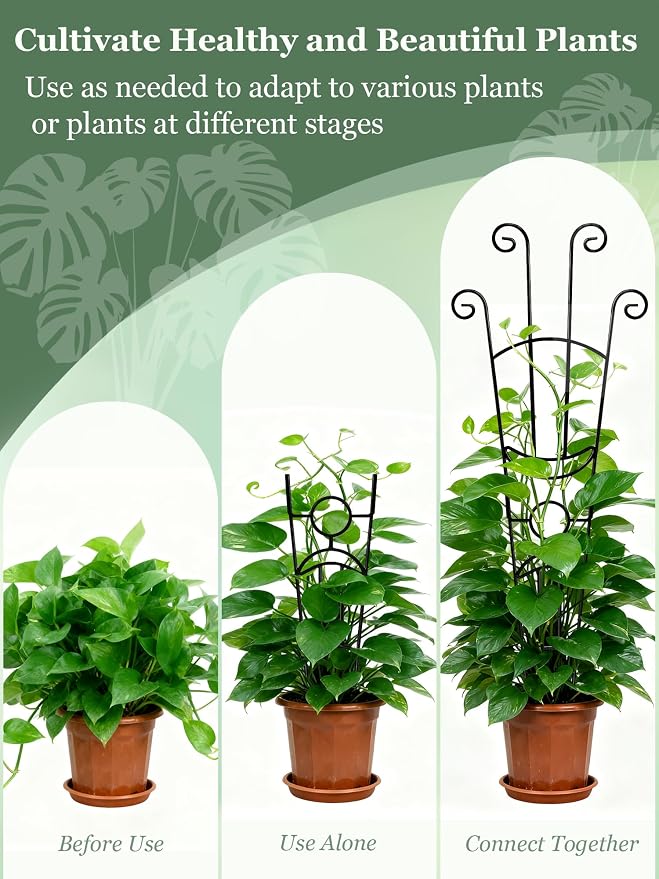 33 Inch Tall Expandable Metal Trellis - Image 5