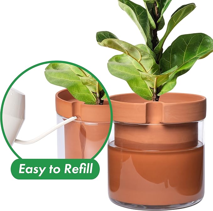 Phoenix Vine 10 Inch Self Watering Planter Pot, Terracotta Clay Pot - Image 4
