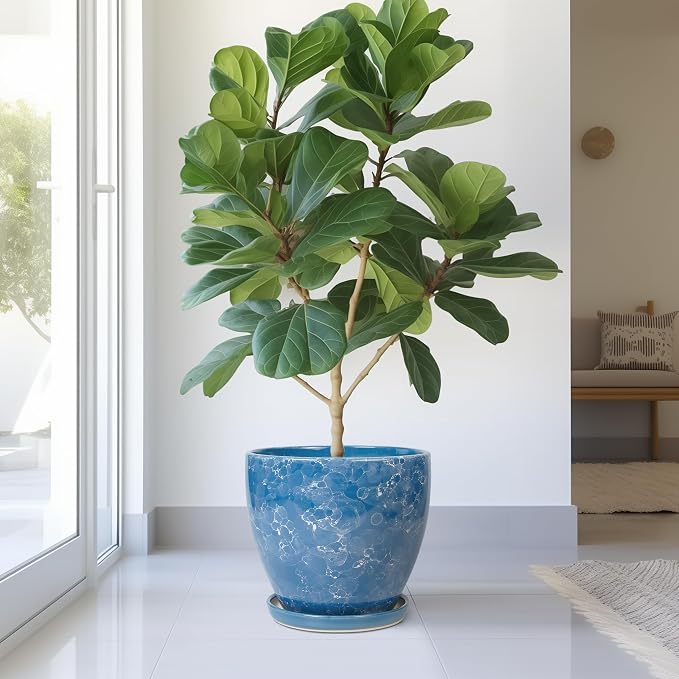 Ceramic Flower Pot - Image 4