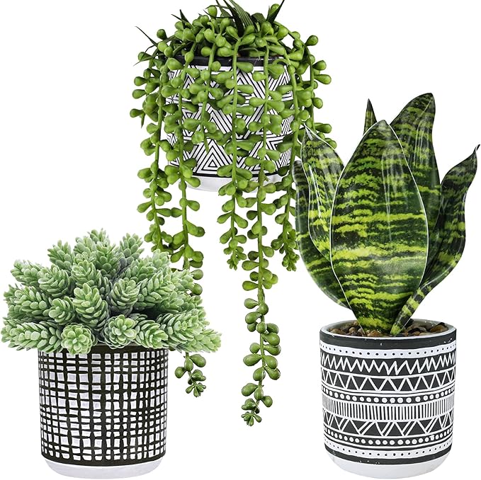Winlyn 3 Pcs Small Potted Plants Artificial Succulents Hanging Plants and Faux by Winlyn