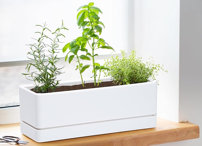 D'vine Dev 12 Inch Window Box Planter, Rectangle Plastic Herb Planter - Image 2