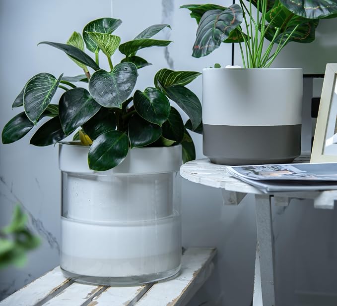 Phoenix Vine 10 Inch Self Watering Planter - Image 4