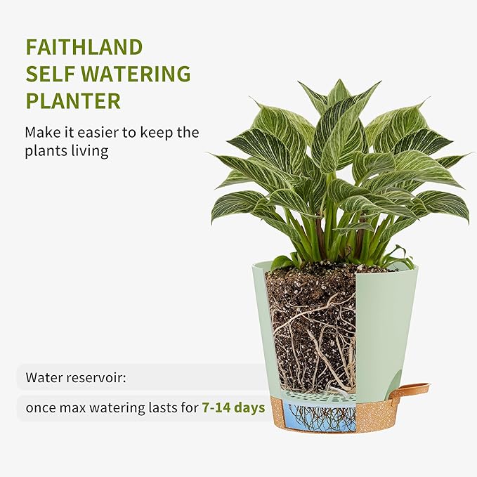FaithLand 2-Pack 10 Inch Planter Pots - Image 3
