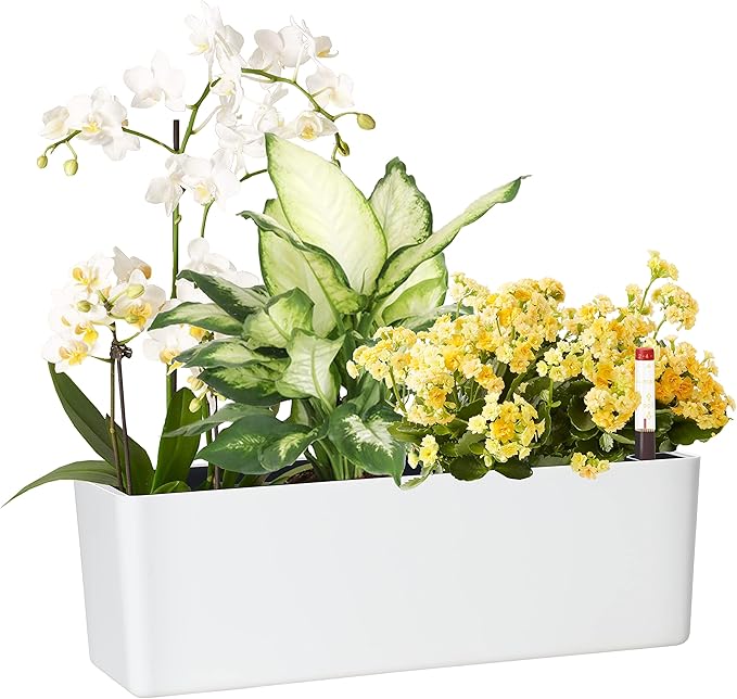 GardenBasix Elongated Self Watering Planter Pots Window Box 5.5 x 16 inch by GardenBasix