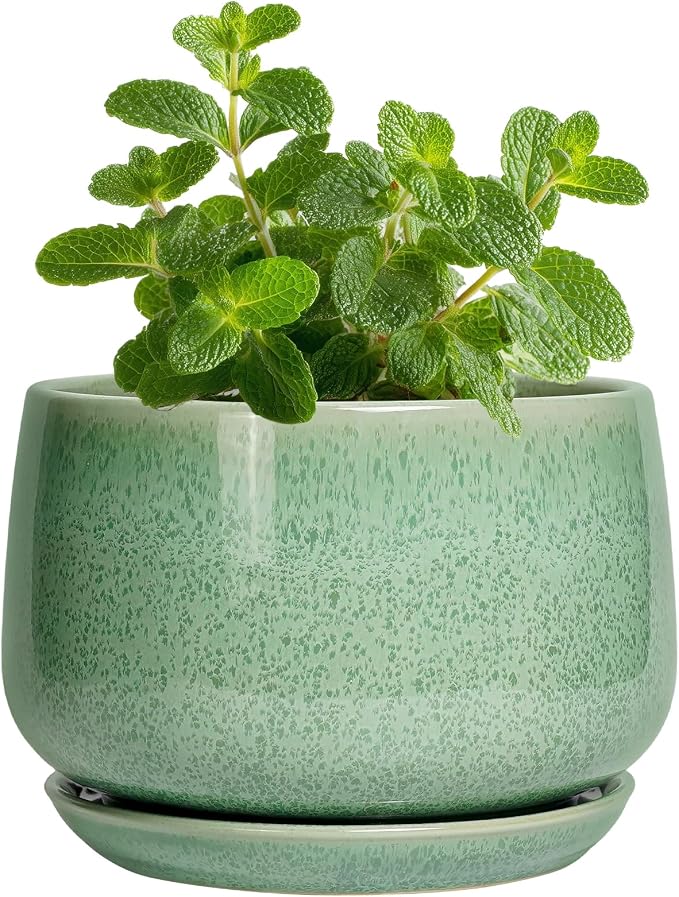 G EPGardening Ceramic Plant Pot by GEPGardening